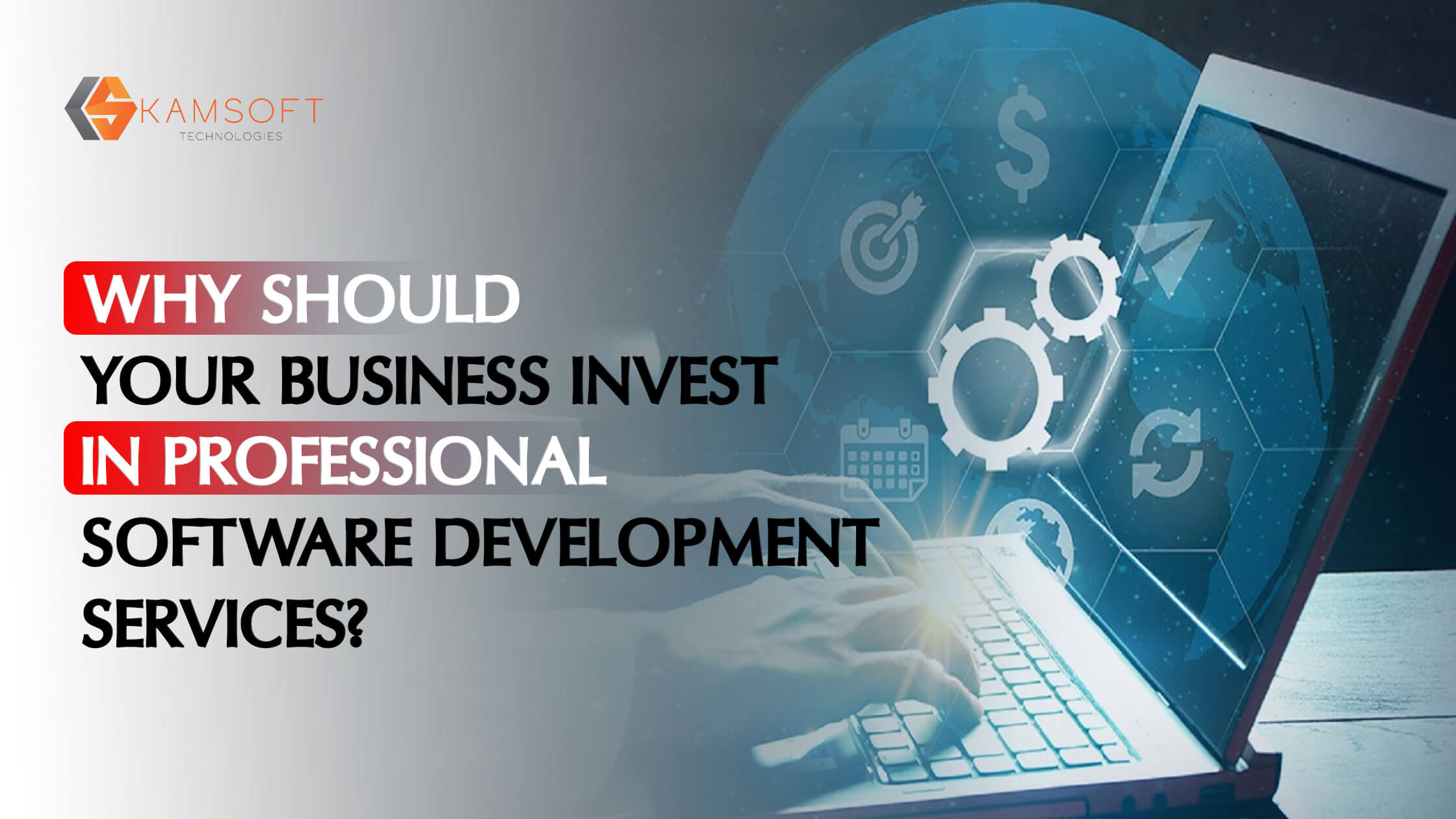 Read more about the article Why Should Your Business Invest in Professional Software Development Services?